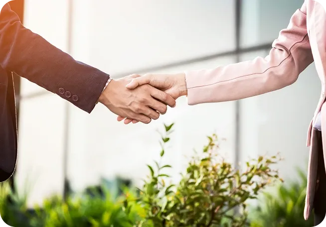 Partnerships and ecosystem