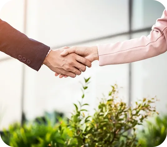 Partnerships and ecosystem